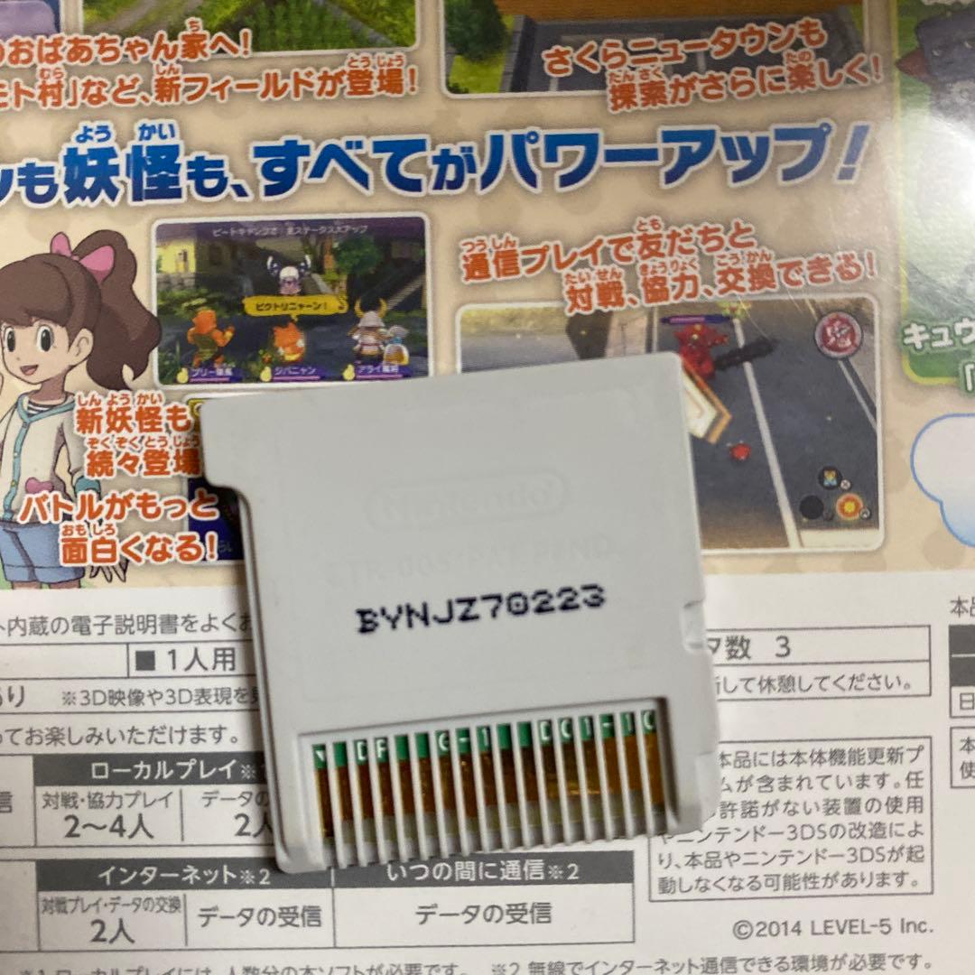 ドラゴンワタル出品