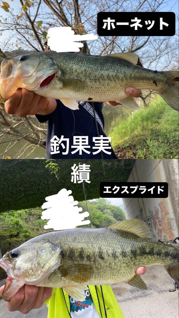 釣果実績ありエクスプライド168mh-2、ホーネットスティンガー722H ベイト