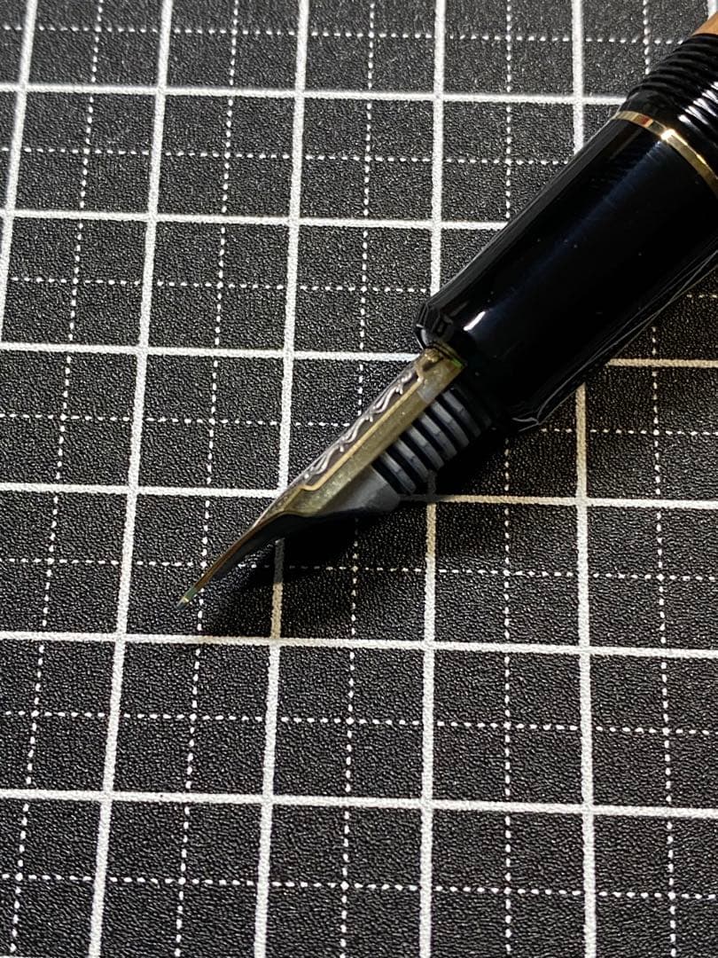 PILOT CUSTOM 一位の木　万年筆　字幅F