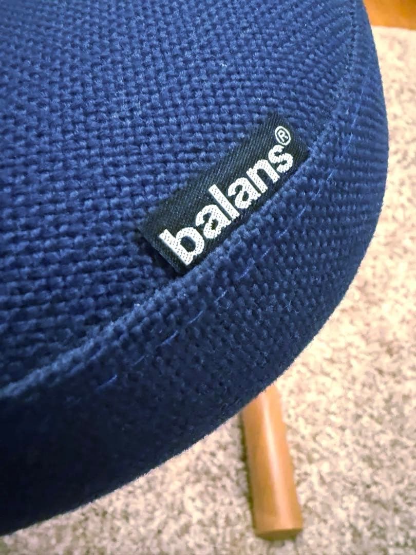 【美品】サカモトハウス バランスチェア イージー ネイビー バランスラボ 椅子