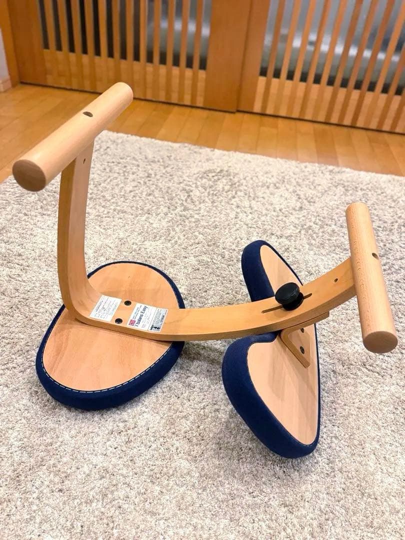 【美品】サカモトハウス バランスチェア イージー ネイビー バランスラボ 椅子