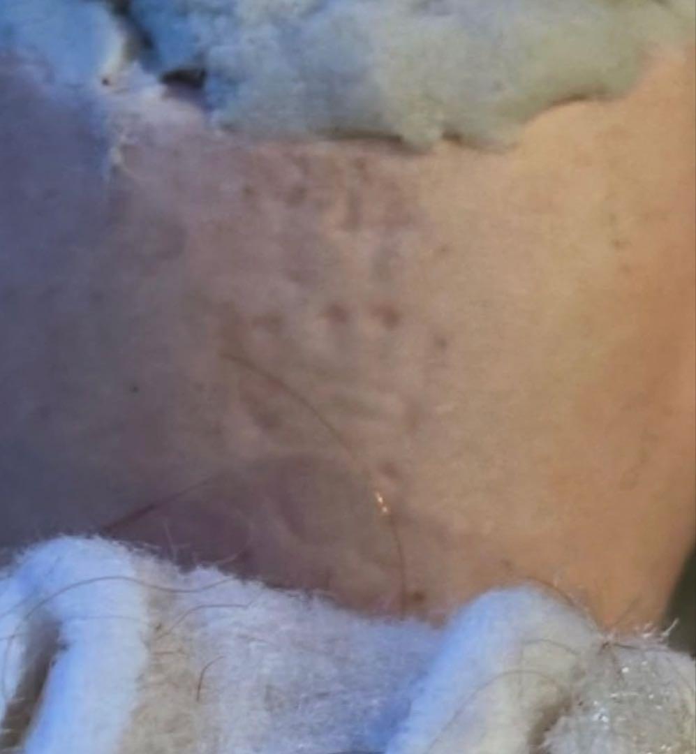 アンティーク　ミニョネット　ドール　オールビスク