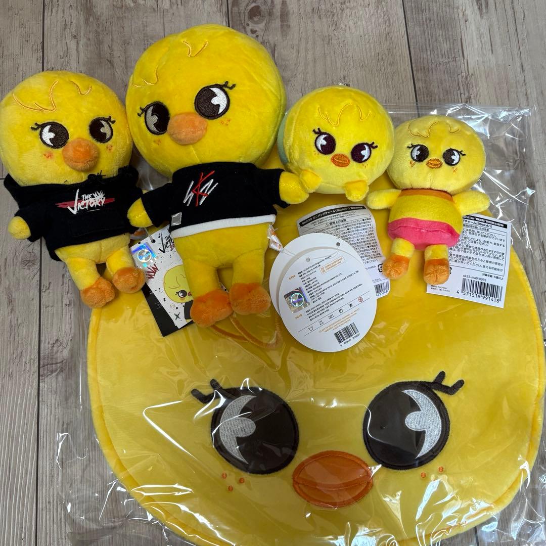 スキズ ポガリ セット straykids Felix