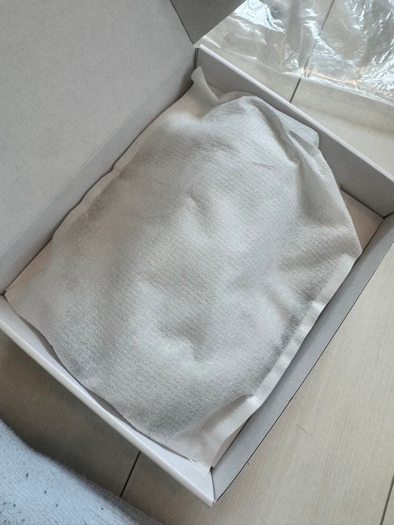 SONY REON POCKET PRO 本体と付属品