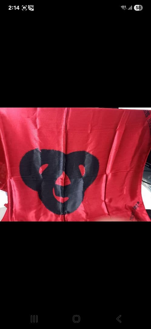 ポルノグラフィティ フラッグ レア