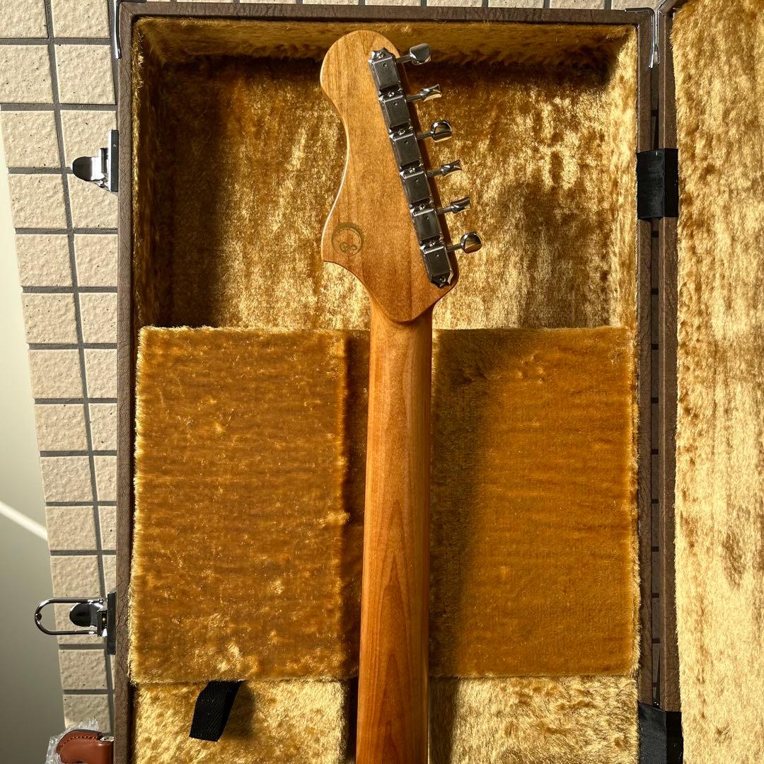 るいハカランダ Sago New Material Guitars