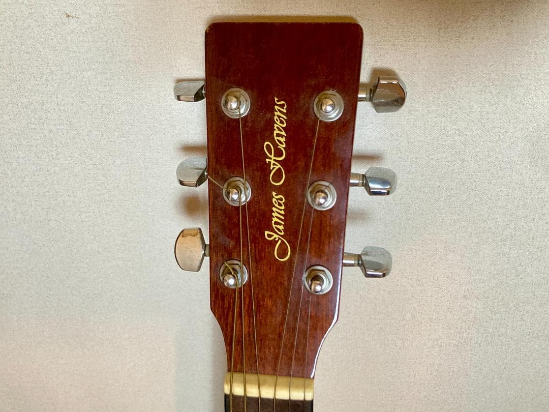 James Havens アコースティックギター