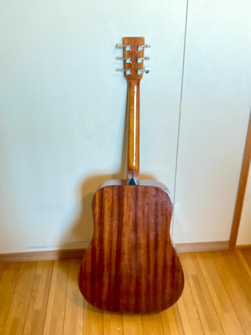 James Havens アコースティックギター