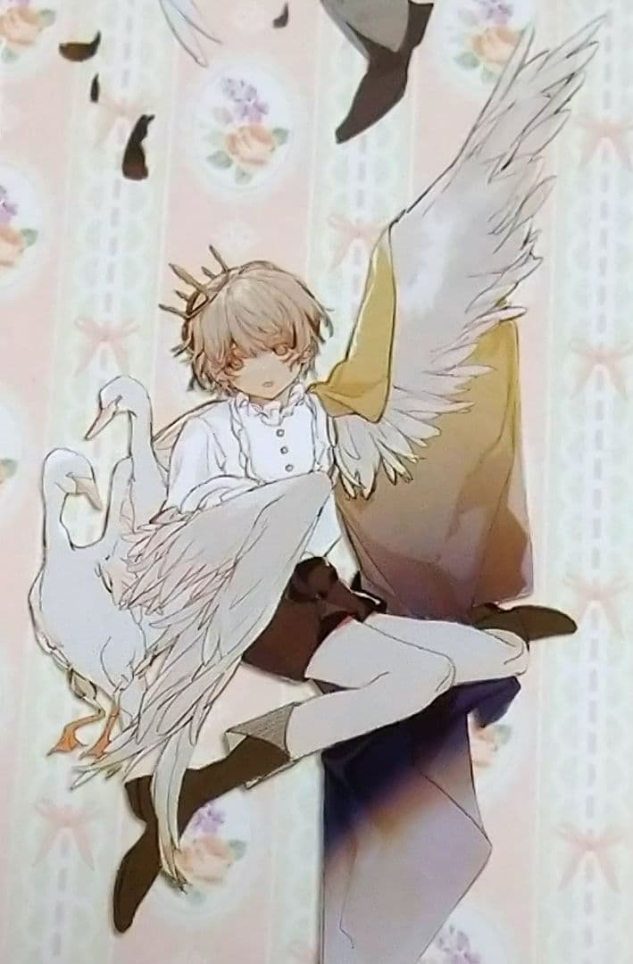 ✩SALE✩J155＃野天鹅(PET)Notte切り売り海外人物マステ男の子女子