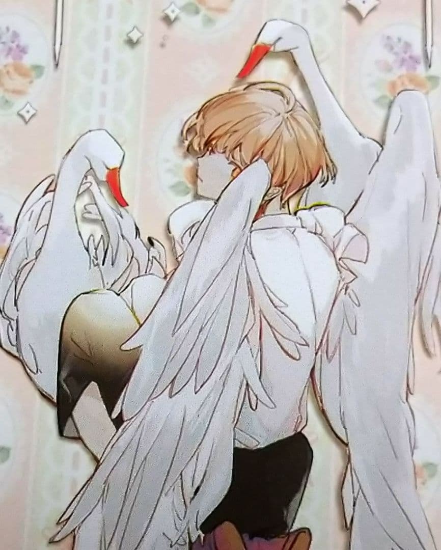 ✩SALE✩J155＃野天鹅(PET)Notte切り売り海外人物マステ男の子女子