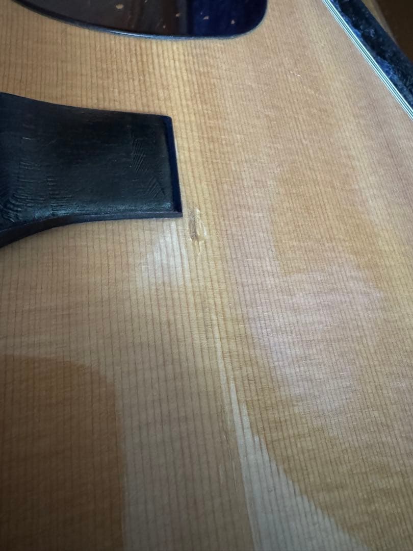 激レア Morris special スロテッドヘッド 12弦