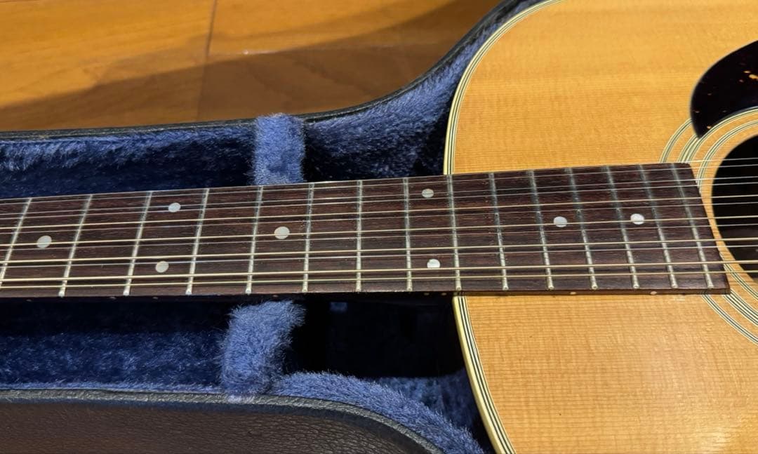 激レア Morris special スロテッドヘッド 12弦