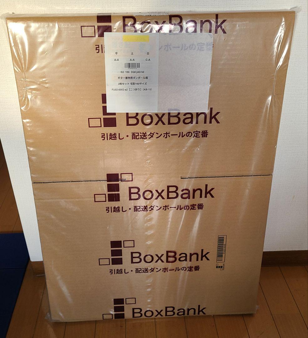 アコースティックギター HEX F100 M ケース付き 美品