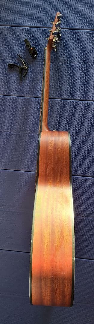 アコースティックギター HEX F100 M ケース付き 美品