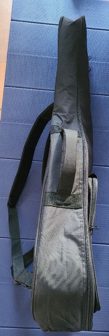 アコースティックギター HEX F100 M ケース付き 美品