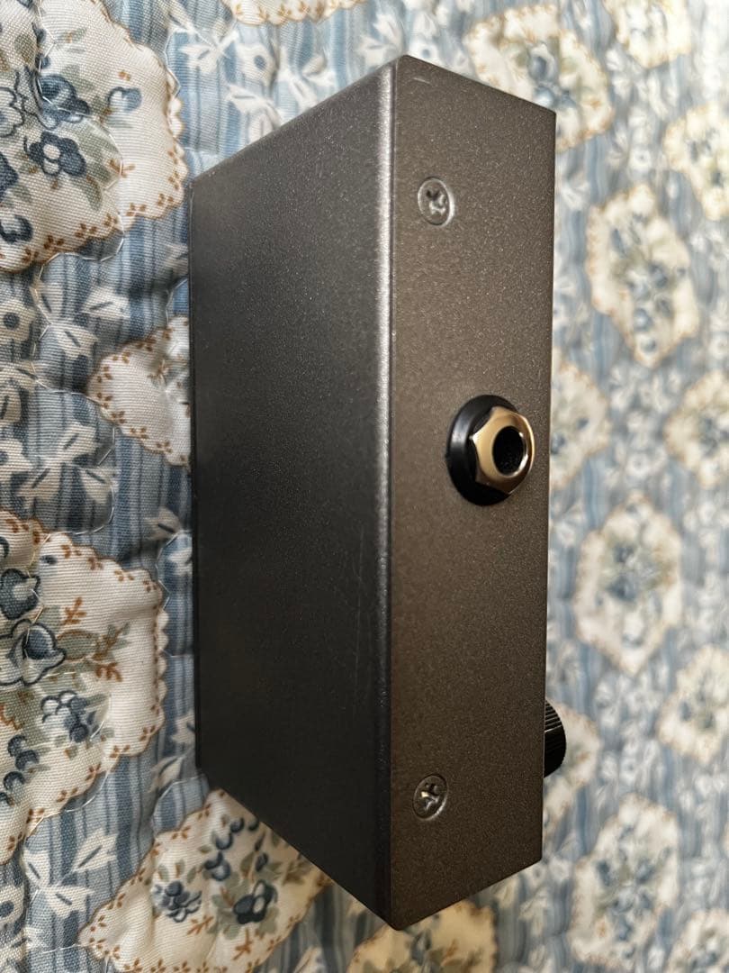 ギター ORGANIC SOUNDS HADES