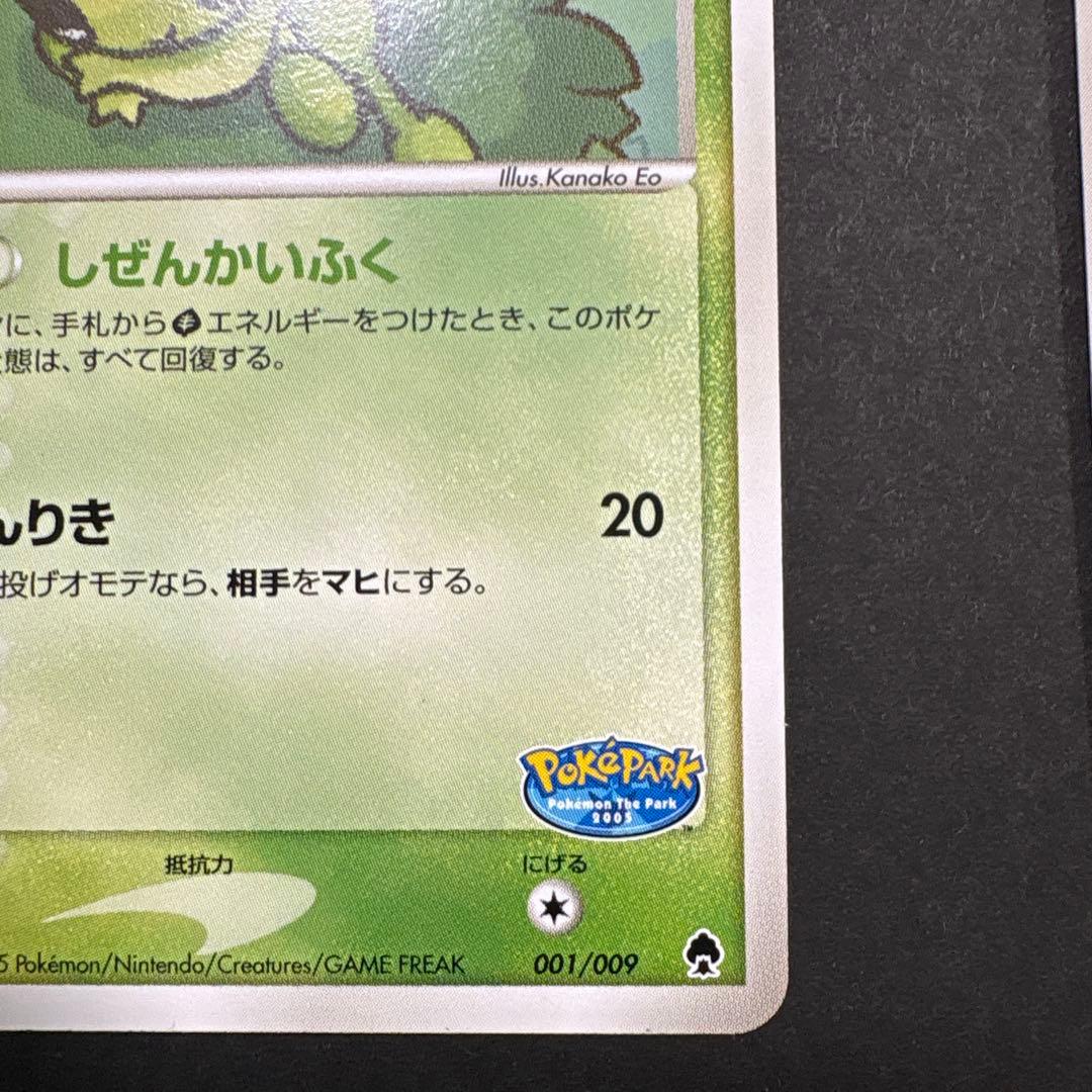 【超希少】ポケパーク限定　限定プロモ　ポケパークのセレビィ　2枚