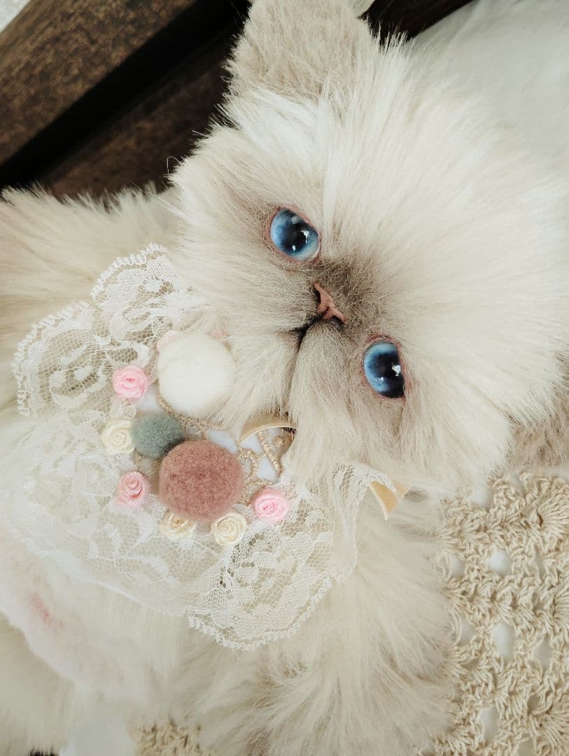 おふぅちゃんオーダー❤ライラックポイント♡子猫ちゃん♡アートドール♡ぬいぐるみ♡