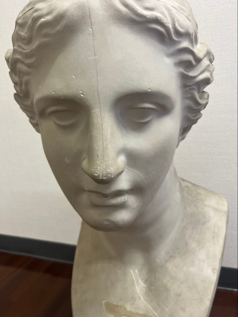 ヴィーナス 石膏像 胸像 顔 美術