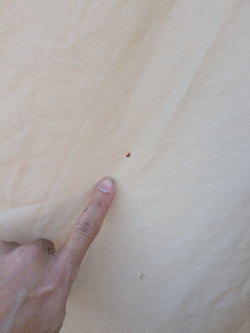 FUTURE FOX　FOX BASE EVO+前幕付き　フォックスベースEVO