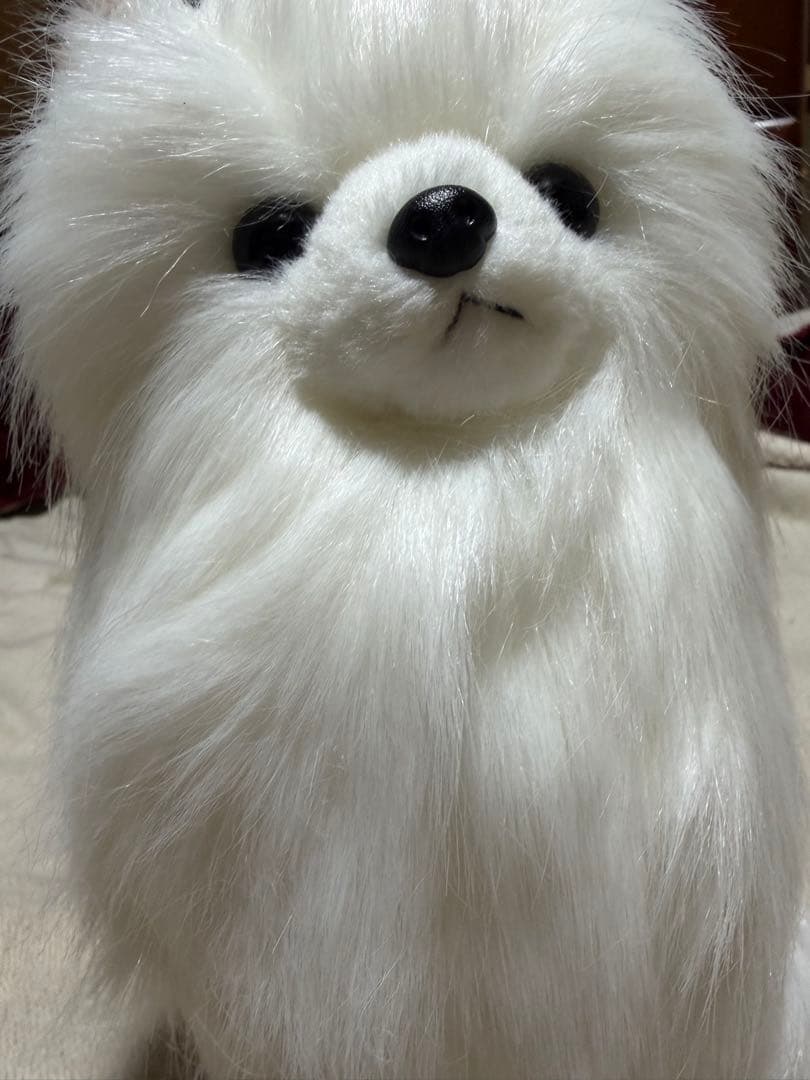 犬　三英　スピッツ　ポメラニアン　ぬいぐるみ　ホワイト