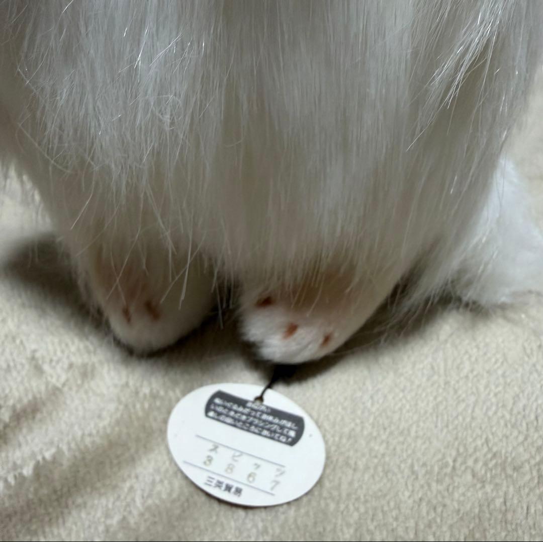 犬　三英　スピッツ　ポメラニアン　ぬいぐるみ　ホワイト