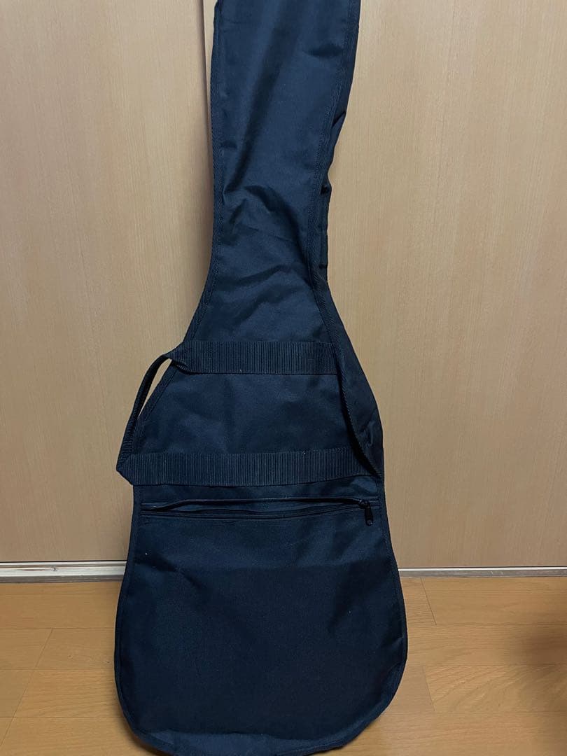 Line 6 Variax600　本体+ケース