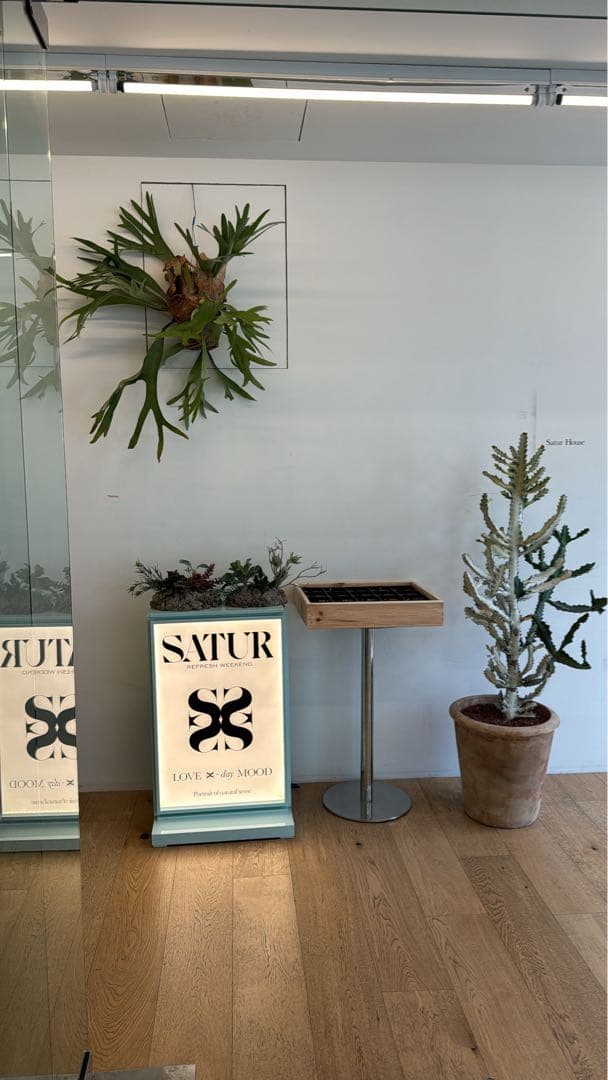 SATUR トレーナー　韓国