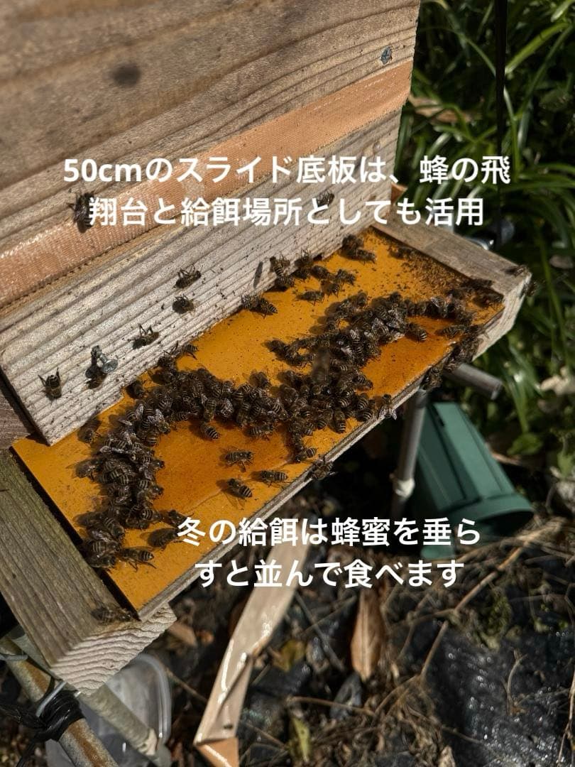日本蜜蜂 重箱式巣箱4段 スライド底板 付巣門台座