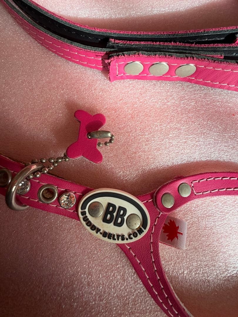 バディベルト ピンク ハーネス・胴輪セット
