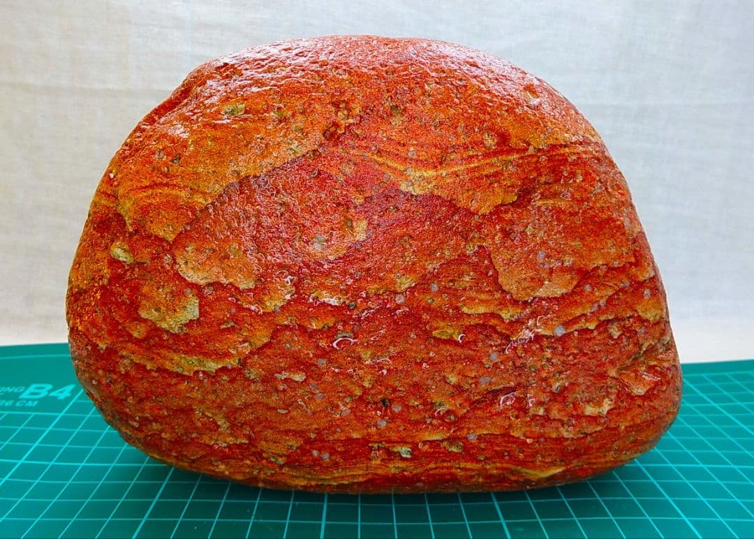 超レア!!姫川薬石赤虎(14)