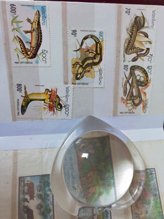 外国切手　ラオス　1999年(超レア・未使用・非売品・政府公式冊子)