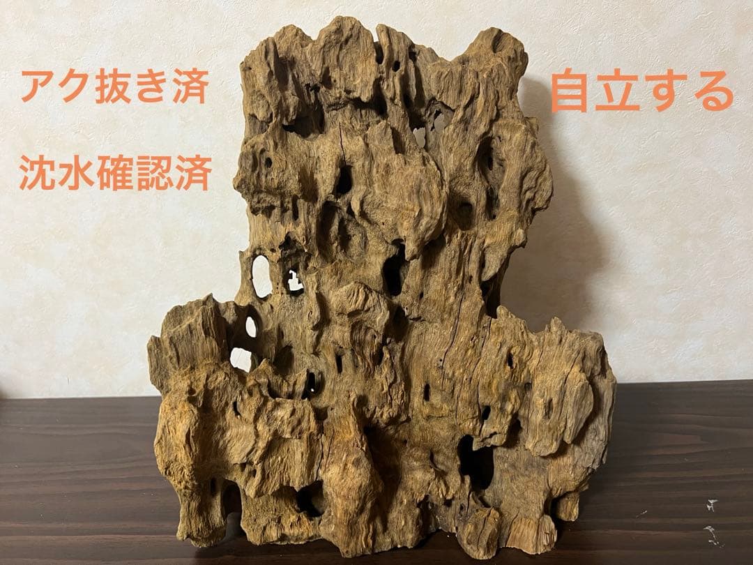 XM-350 流木　マシンガンウッド　アクアリウム　ブランチウッド
