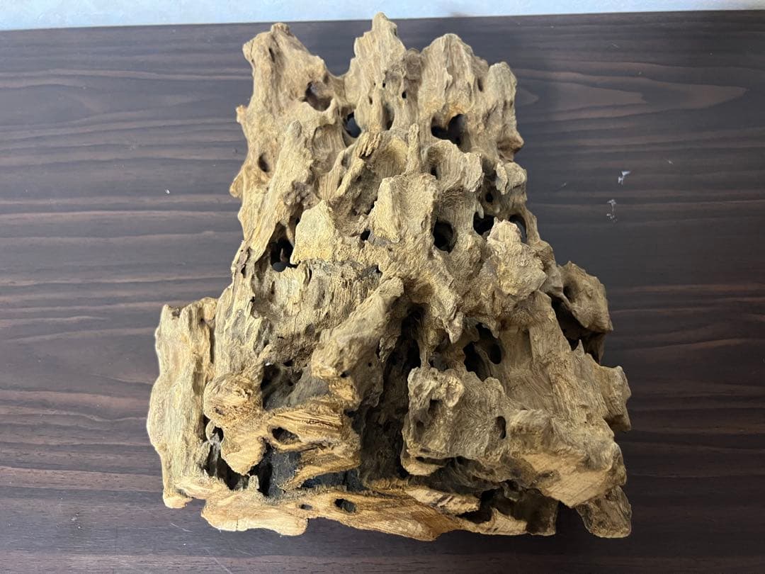 XM-350 流木　マシンガンウッド　アクアリウム　ブランチウッド