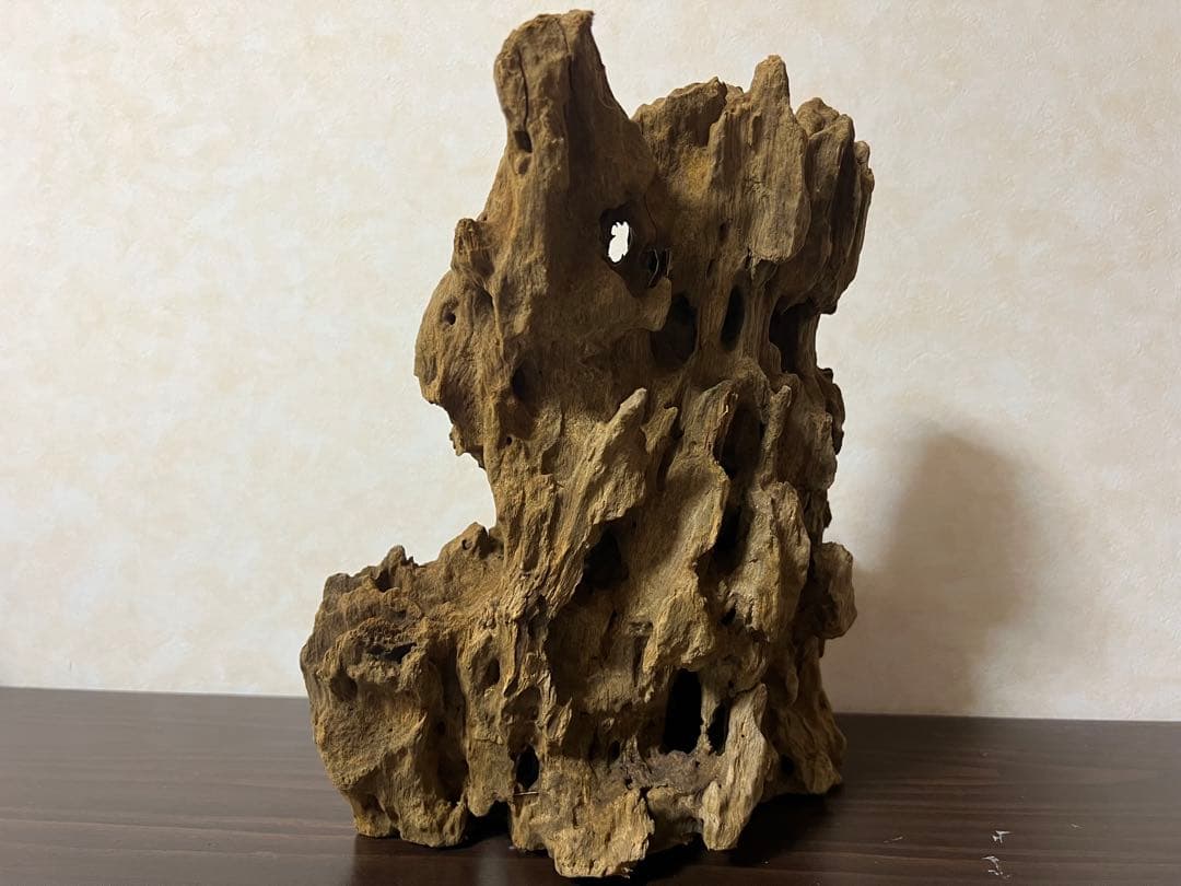 XM-350 流木　マシンガンウッド　アクアリウム　ブランチウッド