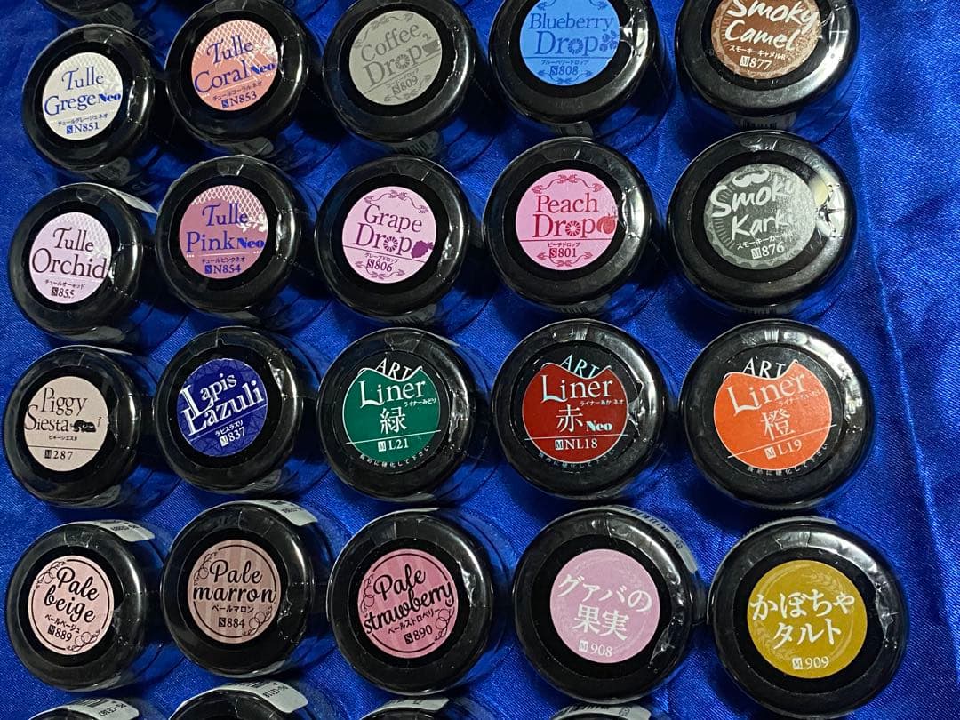 プリジェルカラーEX 30個セット ①