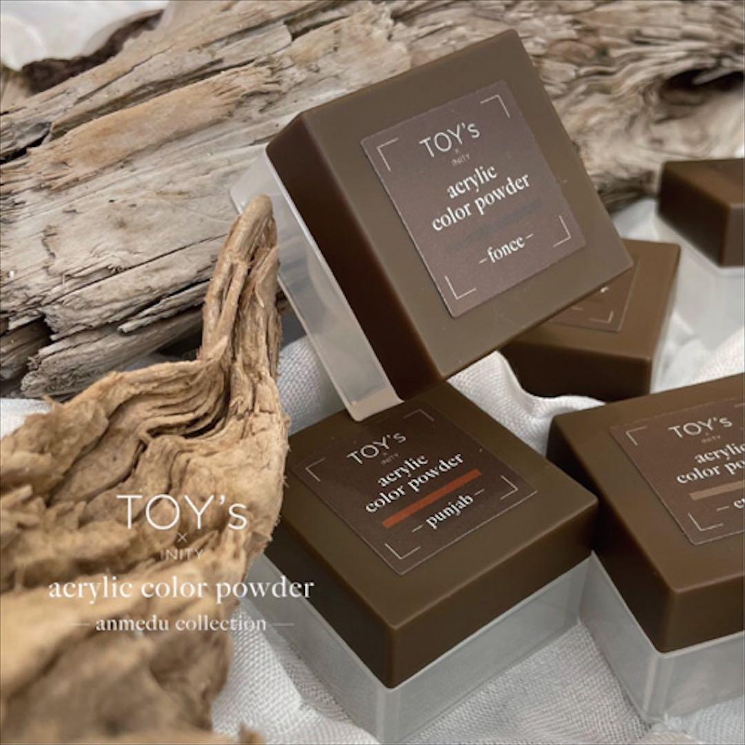 TOY’s×INITY【新品未使用】アクリル アンメデュー 10色セット