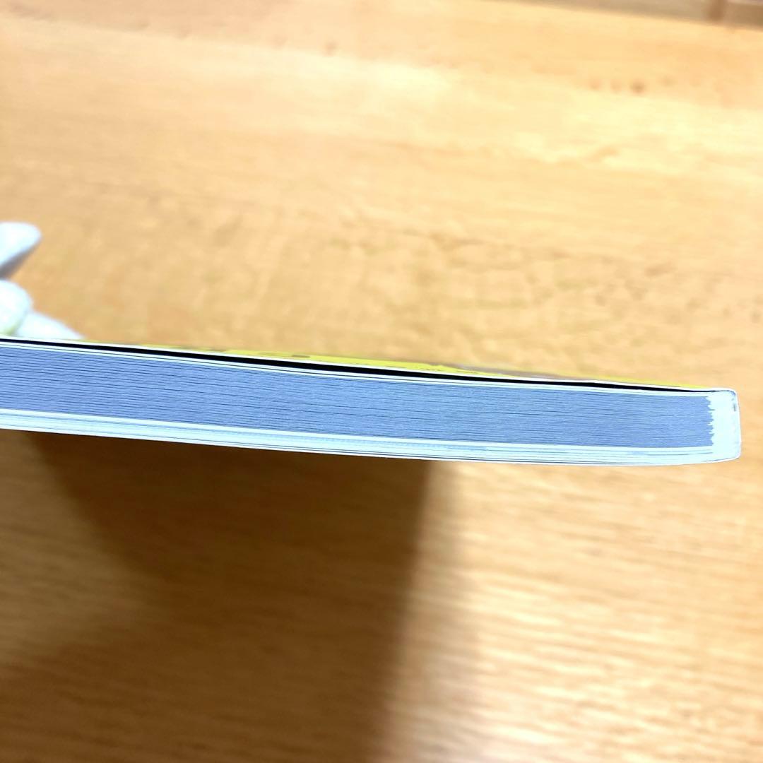 CREATORS SOFVI クリエイターズソフビ NEKO MOOK