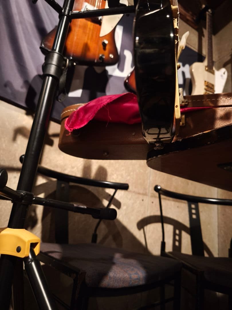 Epiphone Firebird Ⅶ ファイヤーバード ファイアーバード