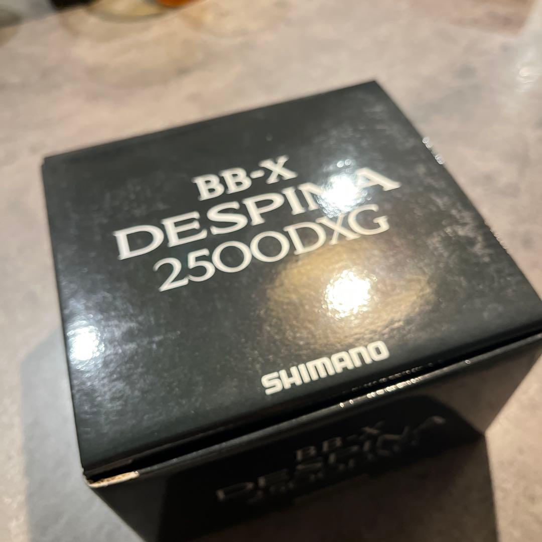 16デスピナ　BB-XDESPINA2500DXG ②