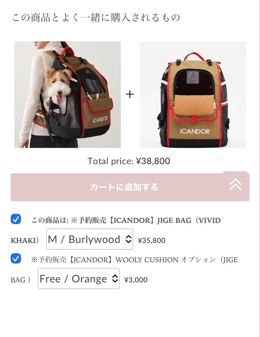 ICANDOR キャリーバッグ キャリーリュック