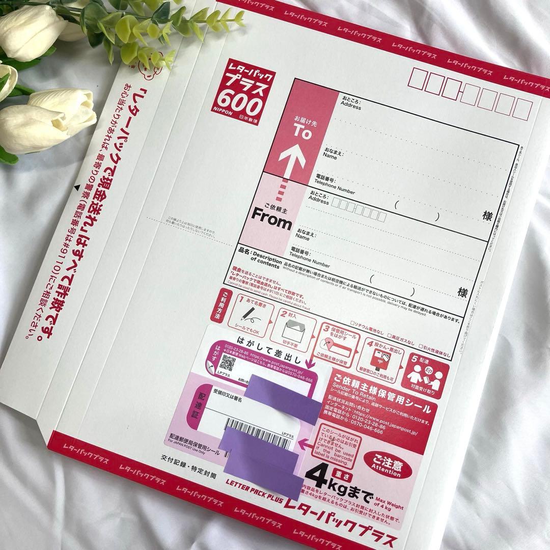 レターパックプラス 600 × 15 【 送料込み 】
