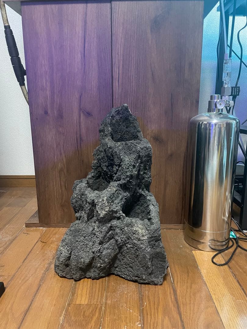 ADA 雲山石　特大サイズ？