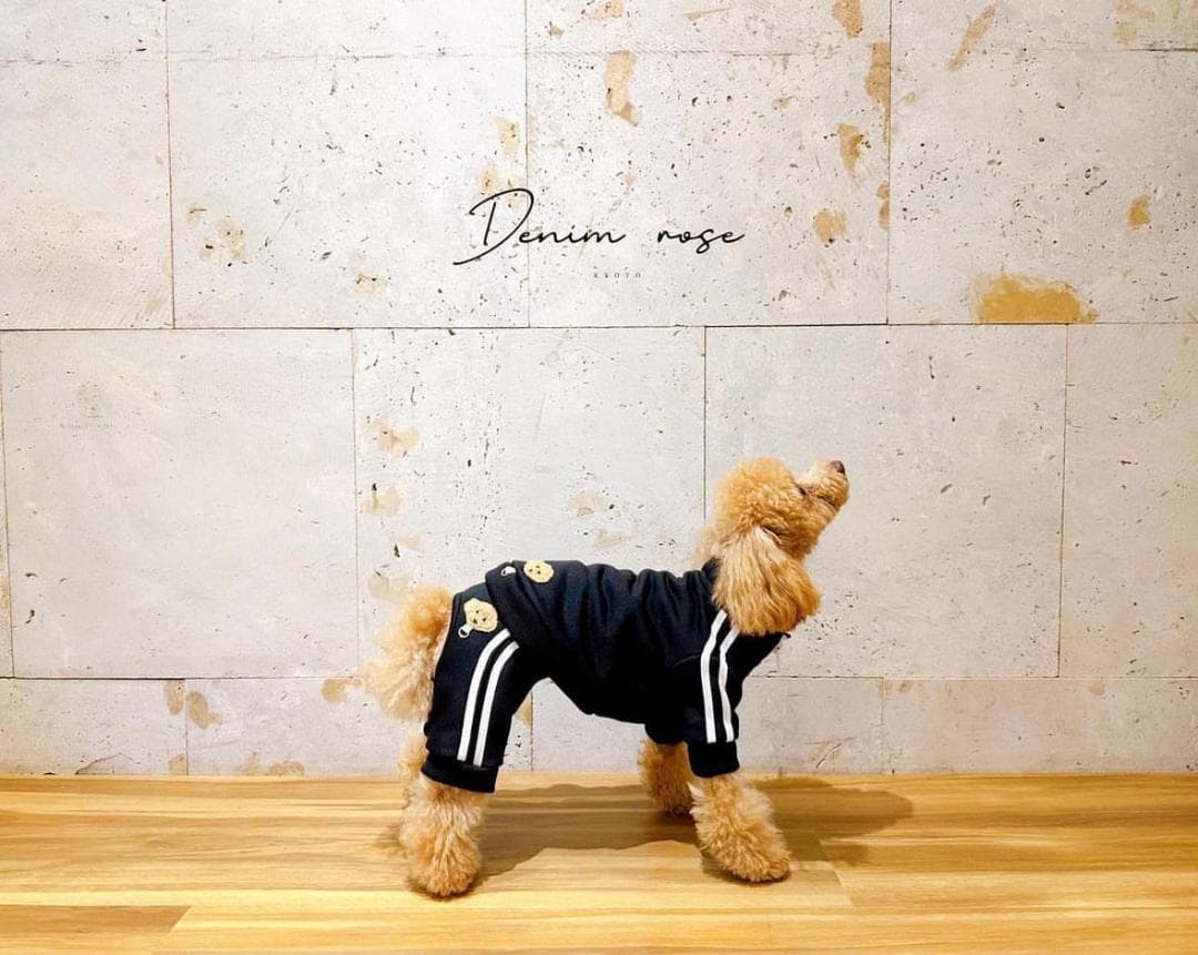 DENIM ROSE ワッペンジャージジャケット