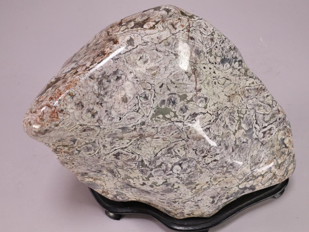 BK216 天然石　鑑賞石　梅花石　花紋石 菊花石 原石 自然石 鉱物 置物