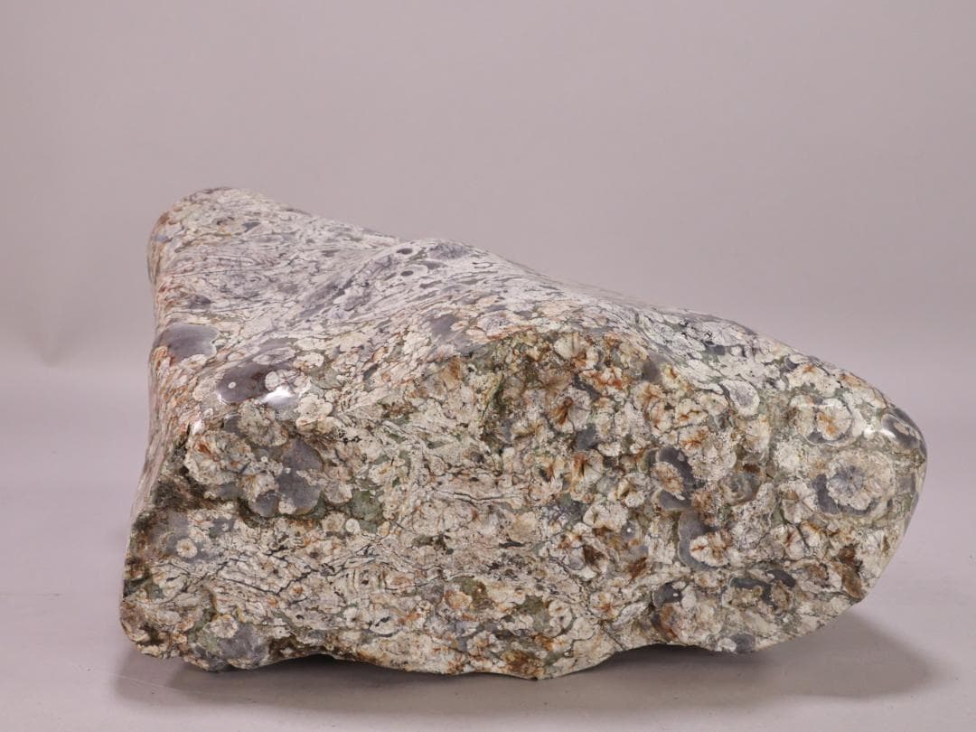 BK216 天然石　鑑賞石　梅花石　花紋石 菊花石 原石 自然石 鉱物 置物