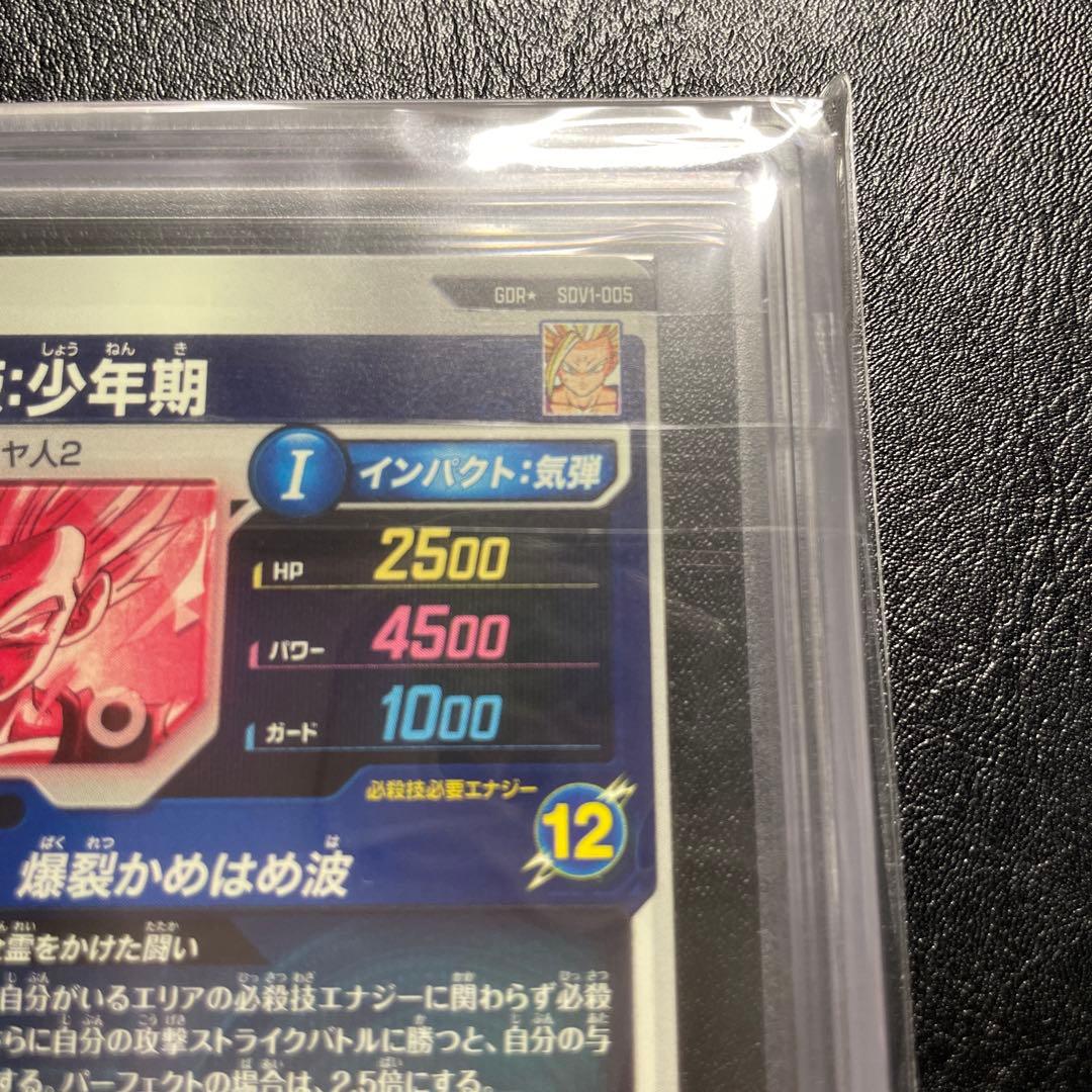 sdbv1-005 gdr パラレル 孫悟飯少年期 ars10