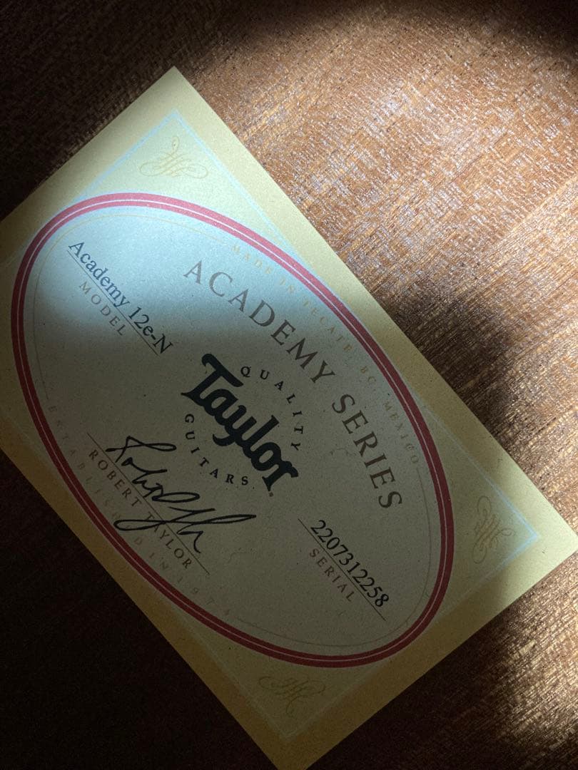 テイラーギター