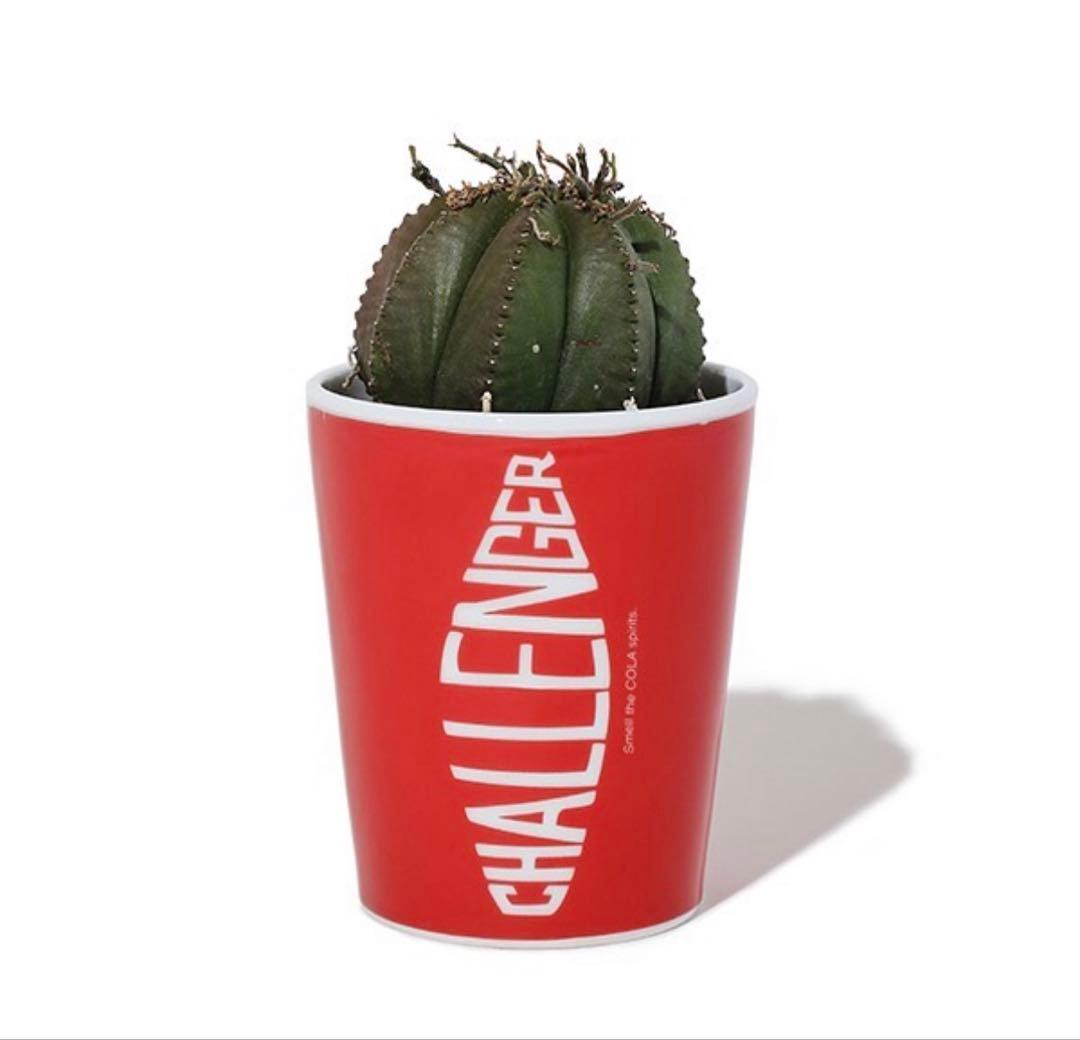 CHALLENGER COKE GLASS 有田焼