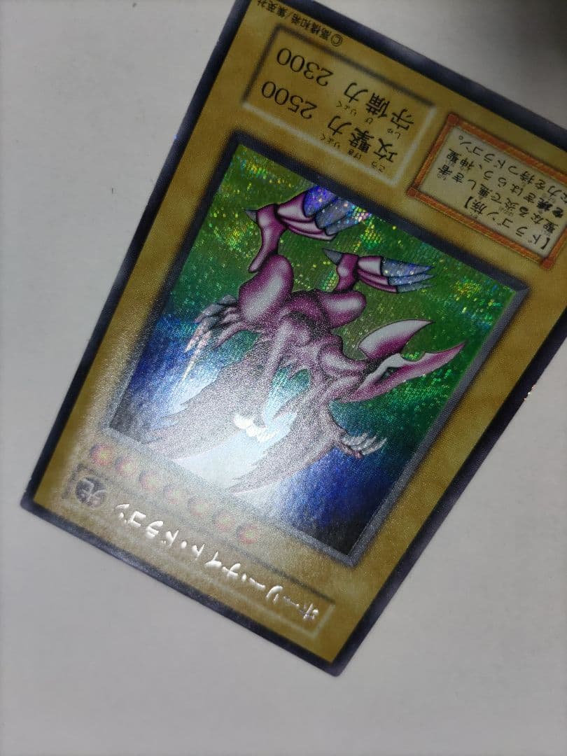 ホーリーナイトドラゴン